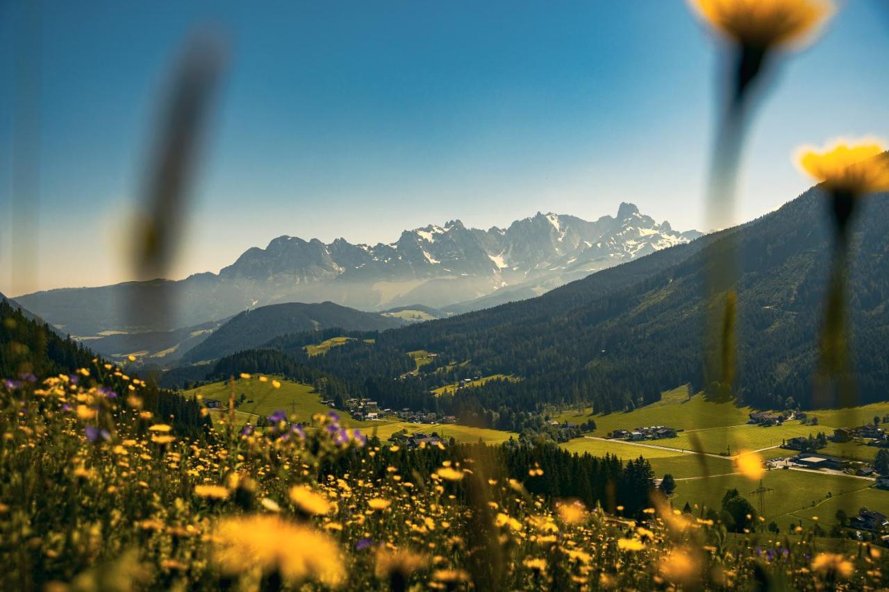 Appartamento Wimmhof Sankt Martin am Tennengebirge Esterno foto